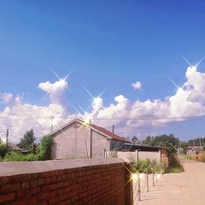 m6米乐官方入口app下载苹果